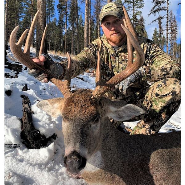 Montana Whitetail hunt