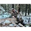Image 3 : Montana Whitetail hunt