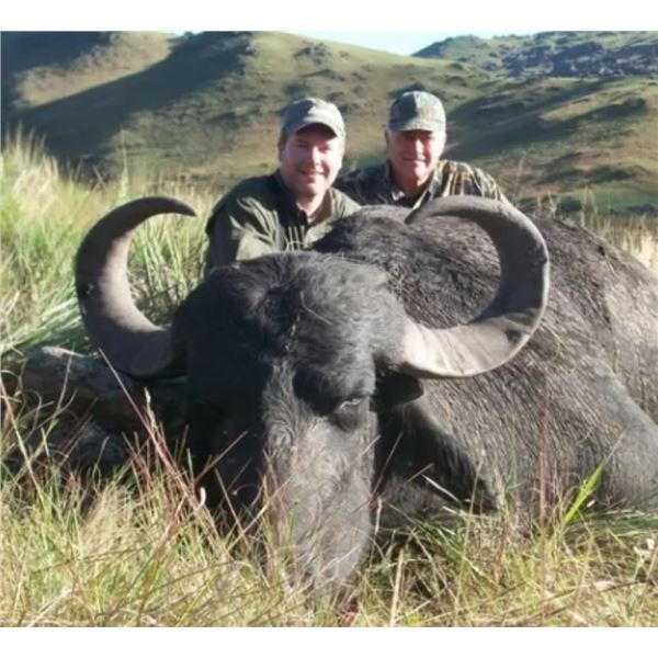 Argentina Water Buffalo for 2 hunters
