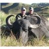 Image 1 : Argentina Water Buffalo for 2 hunters