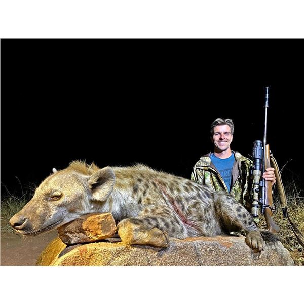 Spotted Hyena Hunt in Botswana