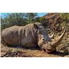 Image 1 : 5-day White Rhino Dart Hunt
