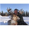 Image 3 : Alberta Whitetail Hunt