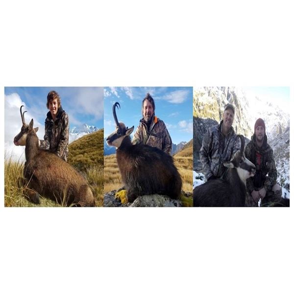 Chamois | New Zealand