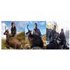 Image 1 : Chamois | New Zealand