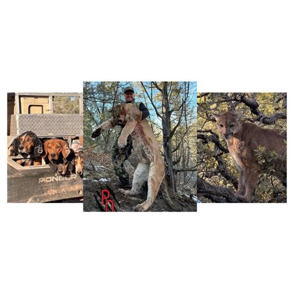 Hunt Package - Mountain Lion | New Mexico/ Arizona