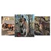Image 1 : Hunt Package - Mountain Lion | New Mexico/ Arizona