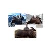 Image 1 : Bull Tahr | Cardona Outfitters - New Zealand