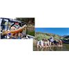 Image 1 : Jet Boat Fishing Adventure | Hammer Down River Excursions - White Bird, Idaho