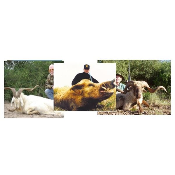 7 day Adventure 6 Big Game Animals  | Anuritay Ranch - Argentina