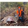 Image 3 : OHIO YOUTH DEER HUNT FOR 1 HUNTER AND 1 NON-HUNTER