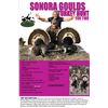 Image 1 : Sonora Goulds Turkey Hunt for Two