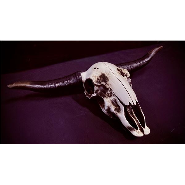 HOME DECOR STEER SKULL