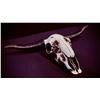 Image 1 : HOME DECOR STEER SKULL