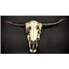 Image 2 : HOME DECOR STEER SKULL