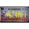 Image 1 : WYOMING WC LICENSE PLATE COLLECTIBLE