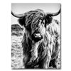 Image 1 : SCOTTISH HIGHLAND COW WALL ART