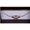 Image 1 : LONGHORN HANGING HOME DECOR