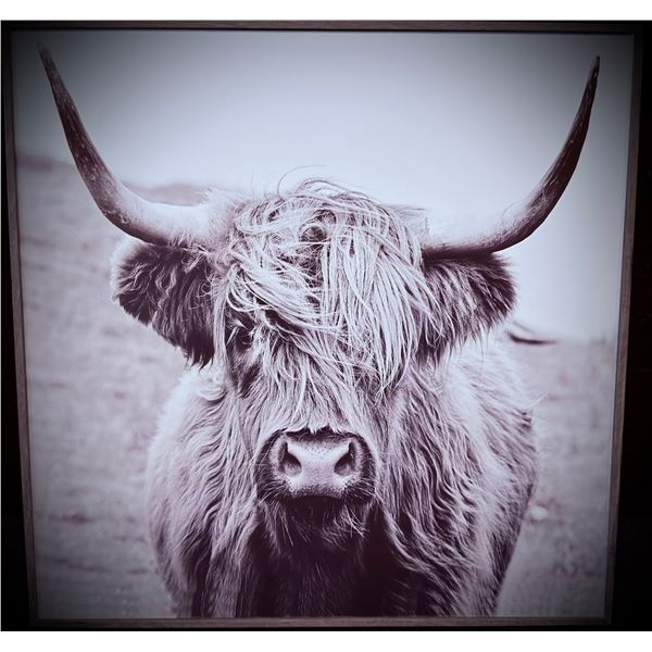 HIGHLAND COW HOME DECOR