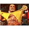 Image 1 : HULK HOGAN WALL ART