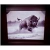 Image 1 : BISON PRINT