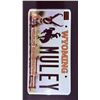 Image 1 : Wyoming Wildlife Conservation Plate Pronghorn