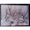 Image 1 : Mule Deer Art