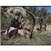 Image 1 : 4 Days/3 Nights Combination Hunt - La Espadella Hunting in Spain