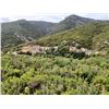 Image 2 : 4 Days/3 Nights Combination Hunt - La Espadella Hunting in Spain