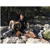 Image 4 : 4 Days/3 Nights Combination Hunt - La Espadella Hunting in Spain