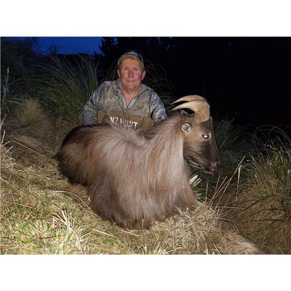 4 day, 2x1 High Alpine Trophy Bull Tahr Hunt for 2 Hunters - New Zealand Hunting