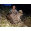 Image 1 : 4 day, 2x1 High Alpine Trophy Bull Tahr Hunt for 2 Hunters - New Zealand Hunting