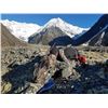 Image 3 : 4 day, 2x1 High Alpine Trophy Bull Tahr Hunt for 2 Hunters - New Zealand Hunting