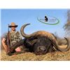Image 2 : 10-Day African Safari for 4 Hunters and 4 Observers - Bronkhorst Safaris