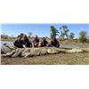 Image 3 : 10-Day African Safari for 4 Hunters and 4 Observers - Bronkhorst Safaris