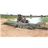 Image 4 : 10-Day African Safari for 4 Hunters and 4 Observers - Bronkhorst Safaris