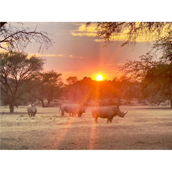 Erora Rhino Conservation 5 Day Tour – Protecting Rhinos. Preserving Wilderness