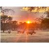 Image 1 : Erora Rhino Conservation 5 Day Tour – Protecting Rhinos. Preserving Wilderness