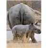 Image 3 : Erora Rhino Conservation 5 Day Tour – Protecting Rhinos. Preserving Wilderness