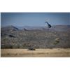 Image 4 : Erora Rhino Conservation 5 Day Tour – Protecting Rhinos. Preserving Wilderness
