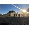 Image 6 : Erora Rhino Conservation 5 Day Tour – Protecting Rhinos. Preserving Wilderness