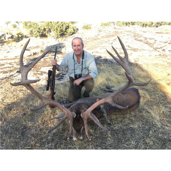 Red Stag Hunt in Spain for 1 Hunter - Giuseppe & Curro Carrizosa - Spain