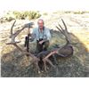 Image 1 : Red Stag Hunt in Spain for 1 Hunter - Giuseppe & Curro Carrizosa - Spain