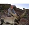 Image 3 : 3-Day Southeastern Ibex Hunt - SMC Spain Hunting Ibex