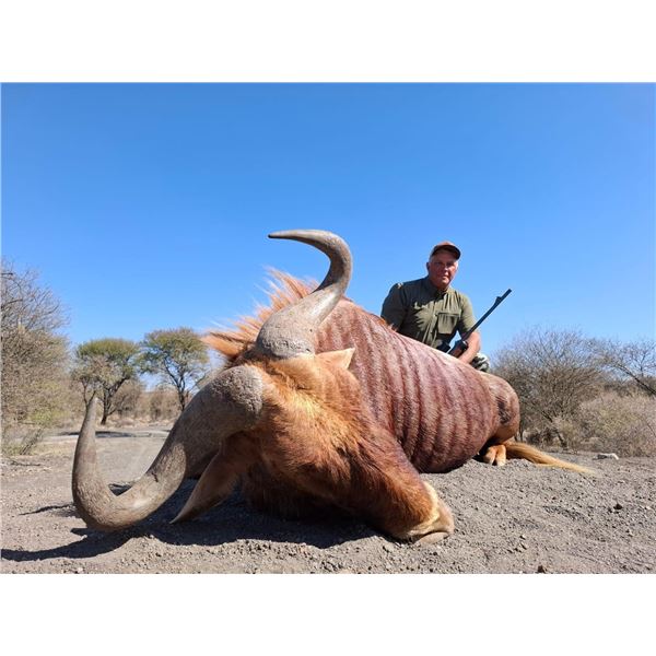 10 Days for 2 Hunters & 2 Observers South Africa Hunt – Inkulu Adventures