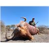 Image 1 : 10 Days for 2 Hunters & 2 Observers South Africa Hunt – Inkulu Adventures