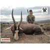 Image 4 : South Africa Plains game hut for 2 hunter 15 animals 10 days of hunting, 2026 or 2027.