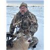 Image 4 : Archery Trophy Whitetail North Dakota large body Bucks without the Hassell of going to Canada