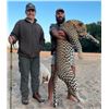 Image 3 : 14 day Leopard Hunt in the Insiza area of Zimbabwe -2027 with Dogs