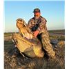 Image 4 : Alligator Hog hunt for 2 hunters 2 days Sebring Florida